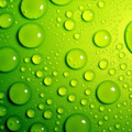 green4t