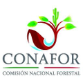 comision nacional forestal
