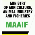 ministry of agriculture animal industry and fisheries