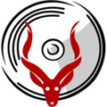 nyala insurance sc