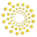 san carlos biopower inc