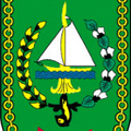 rsud arifin achmad