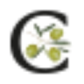 carapelli firenze spa