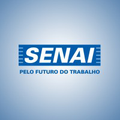 senai pe