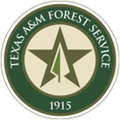 texas am forest service