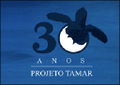 fundacao projeto tamar