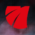 magnum tires