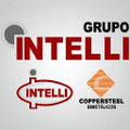 grupo intelli