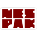national engineering services pakistan pvt limited nespak