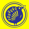 the chennai silks
