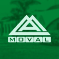 moval moveis