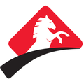 stallion integrated solutions
