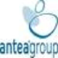 antea group nederland