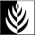 zrk group