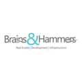 brains and hammers