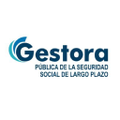 gestora publica de la seguridad social de largo plazo