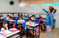 rede de ensino coleguium