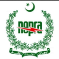 nepra national electric power regulatory authority