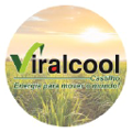 usina viralcool castilho
