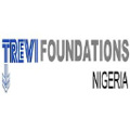trevi foundations nigeria limited