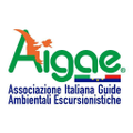 aigae