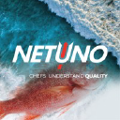netuno internacional sa