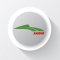 anesrif