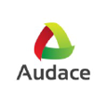 grupo audace