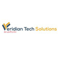 veridian tech solutions inc