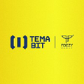 temabit software development