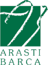 arasti barca