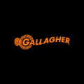 gallagher animal management