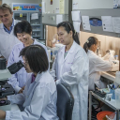 mahidol oxford tropical medicine research unit moru