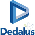 dgs brasil dedalus group