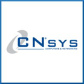 cnsys plc