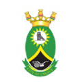 rand west city local municipality