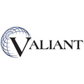 valiant artificial lift solutions