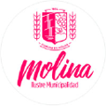 ilustre municipalidad de molina