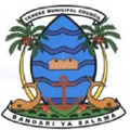 temeke municipal council