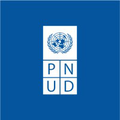 pnud paraguay