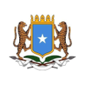 federal government of somalia