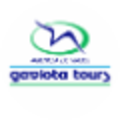 gaviota tours cuba