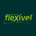 grupo flexivel