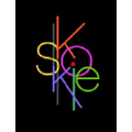 village of skokie