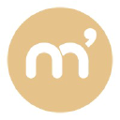 mistertemp group franchises aquila rh lynx rh vitalis medical mistertemp