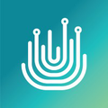 uy systems ltd express digitally