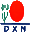 dxn holdings berhad