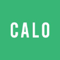 calo inc