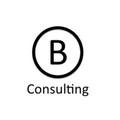 b consulting