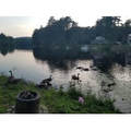 living the good life